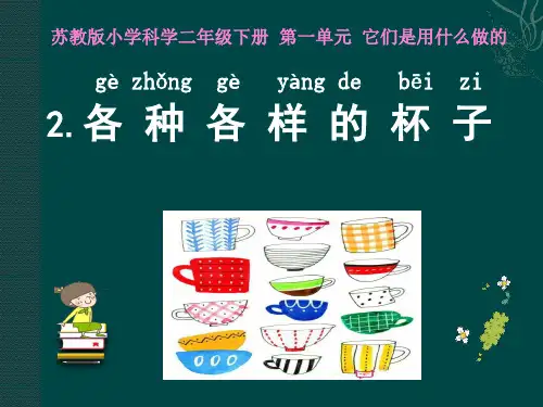 苏教版二年级下册科学-《各种各样的杯子》(课件共17张)