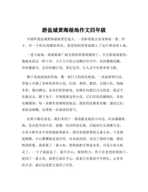 游盐城黄海湿地作文四年级