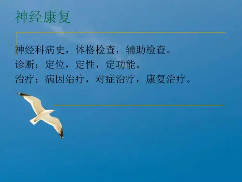 神经康复ppt课件