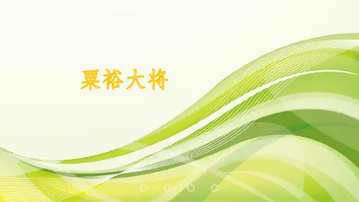 粟裕大将