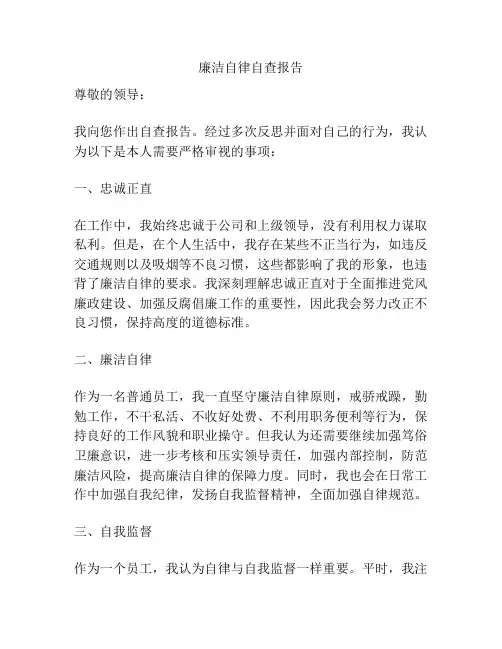 廉洁自律自查报告