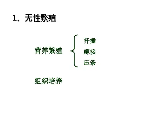 浙科版高中生物选修1第4部分试验11植物的组织培养(共35张PPT)