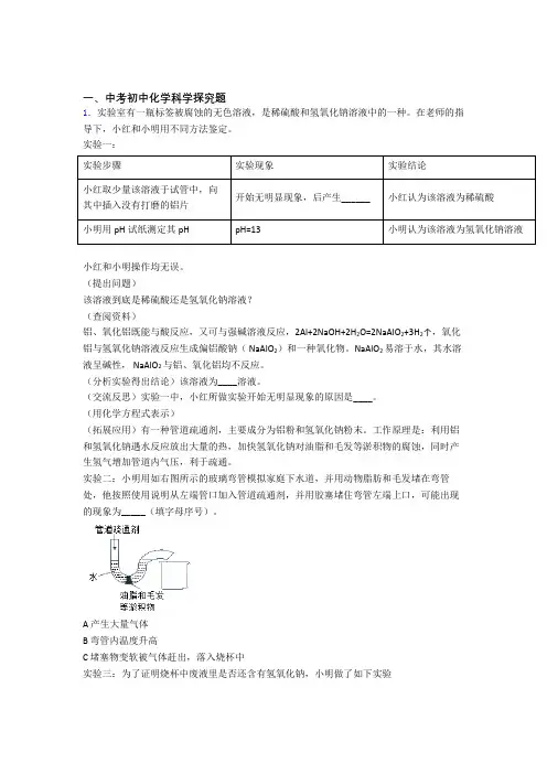 2020-2021中考化学探究题-经典压轴题及答案