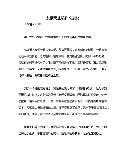友情无止境作文素材