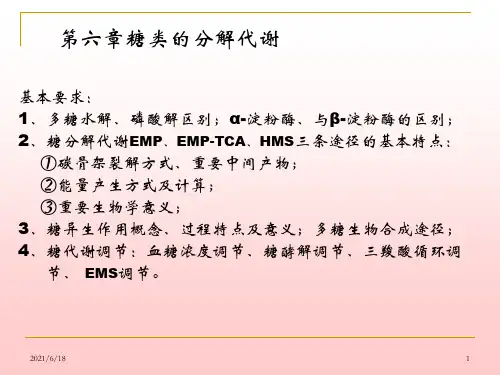 【教学课件】第6章糖代谢1 生物化学 教学