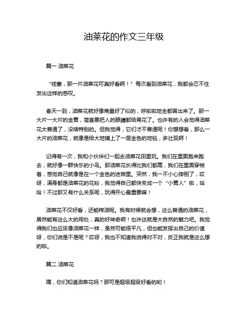 油莱花的作文三年级