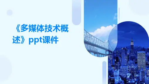 《多媒体技术概述》ppt课件