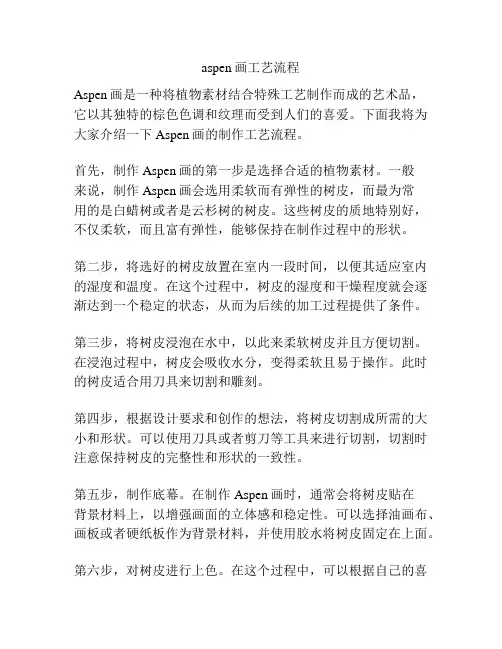 aspen画工艺流程