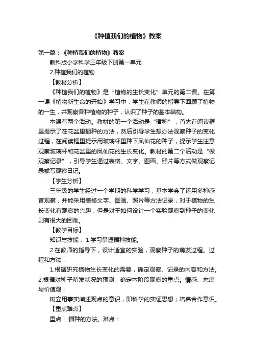 《种植我们的植物》教案