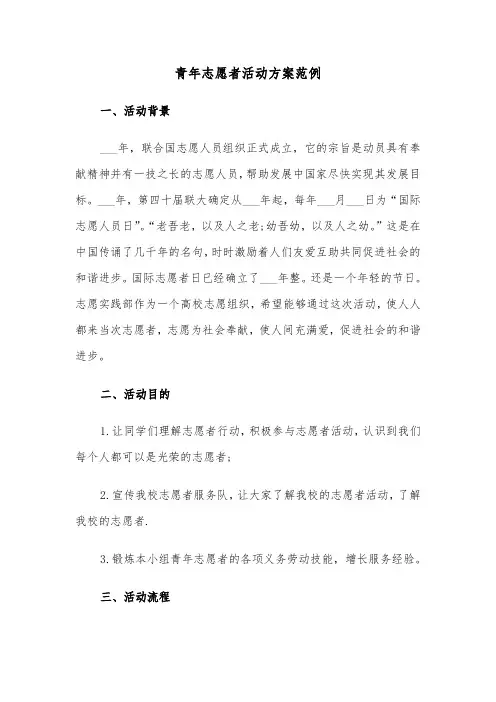 青年志愿者活动方案范例（3篇）