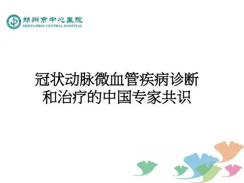 冠状动脉微血管疾病诊断和治疗的中国专家共识