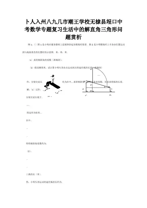中考数学专题复习生活中的解直角三角形问题赏析试题