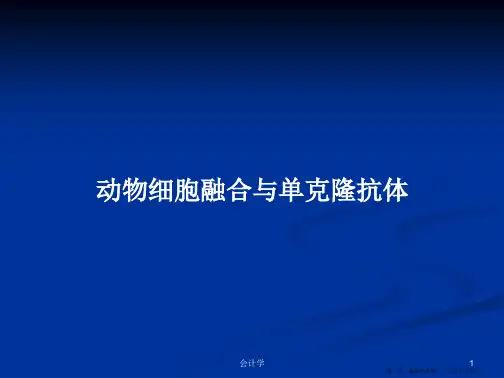 动物细胞融合与单克隆抗体学习教案