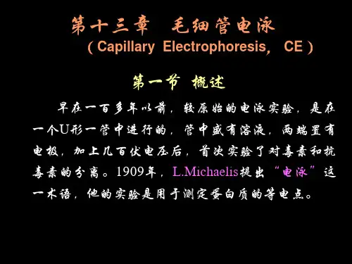 第十三章毛细管电泳CapillaryElectrophoresisCE