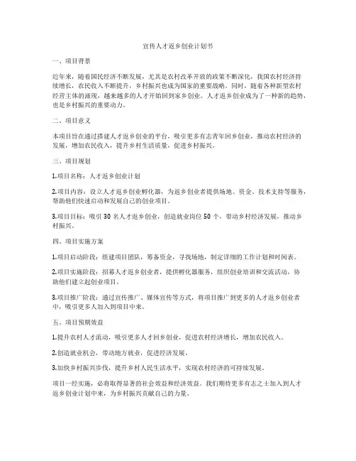 宣传人才返乡创业计划书
