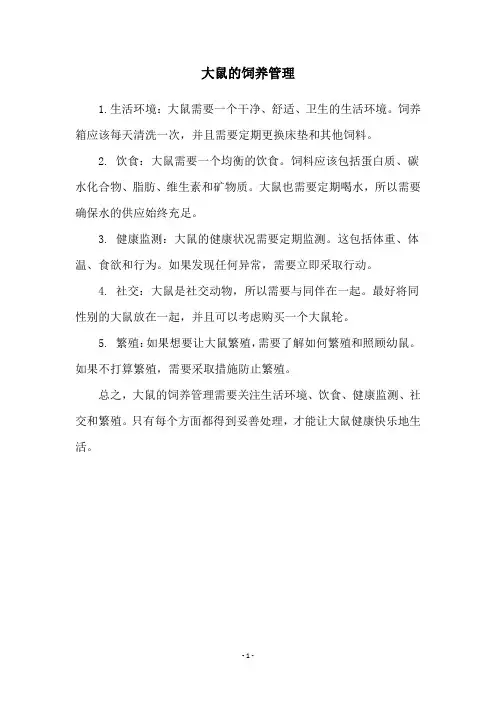 大鼠的饲养管理
