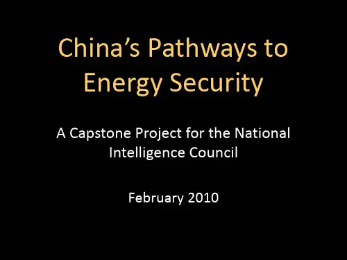 中国的能源安全之路非常值得好好看的资料.ppt