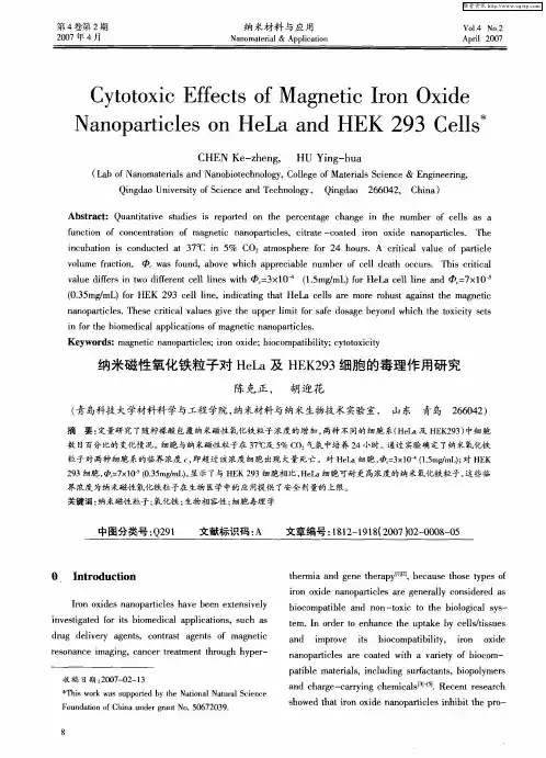 纳米磁性氧化铁粒子对HeLa及HEK293细胞的毒理作用研究