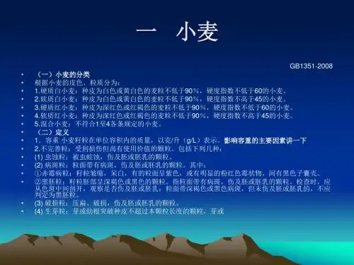 小麦质量标准