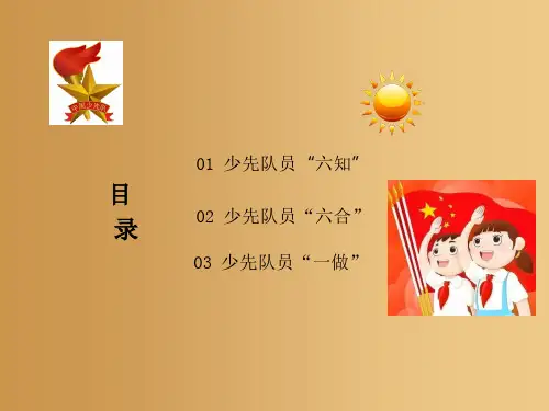 少先队员六知六会一做