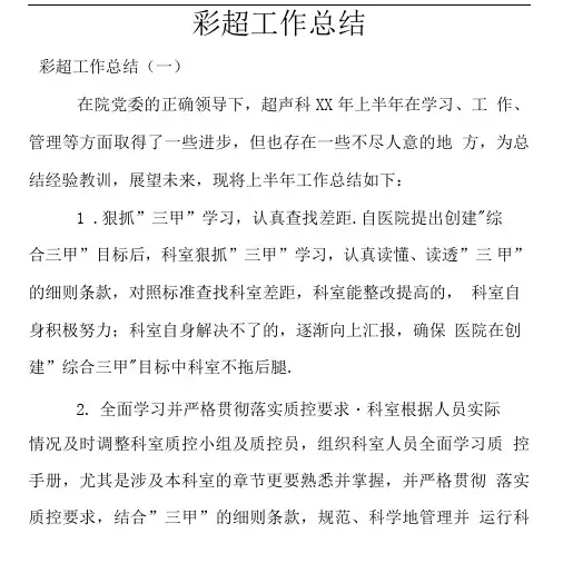 彩超工作总结