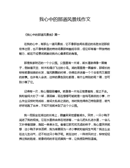 我心中的那道风景线作文