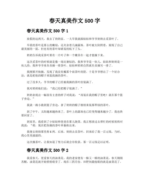 春天真美作文500字
