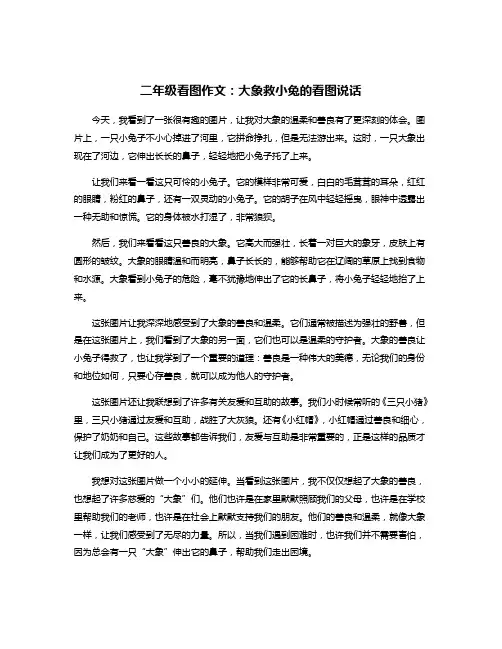 二年级看图作文：大象救小兔的看图说话
