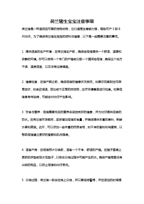 荷兰猪生宝宝注意事项