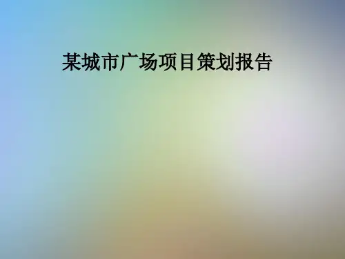 某城市广场项目策划报告