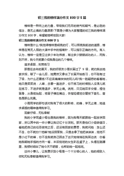 初三我的榜样满分作文800字5篇