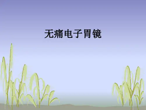 无痛电子胃镜ppt课件