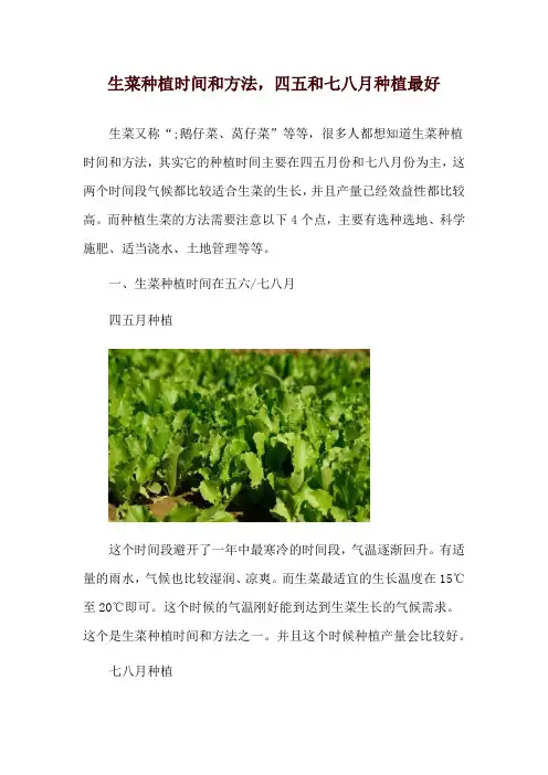 生菜种植时间和方法,四五和七八月种植最好
