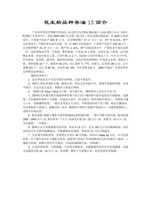 花生新品种粤油13简介