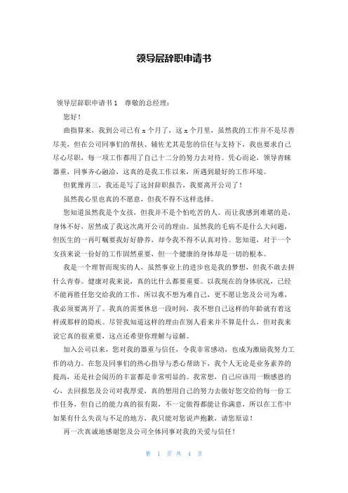 领导层辞职申请书