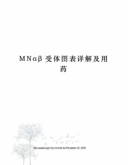 MNαβ受体图表详解及用药