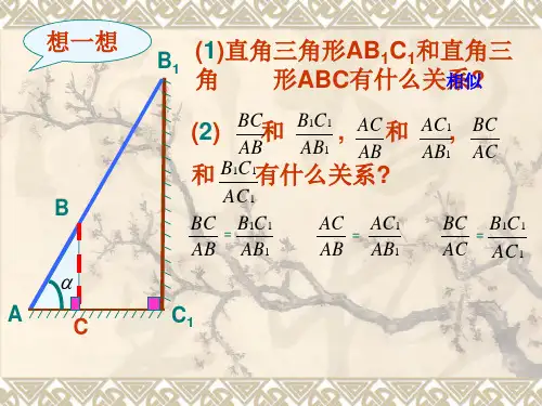 锐角三角函数4.ppt