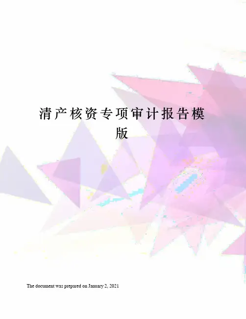 清产核资专项审计报告模版