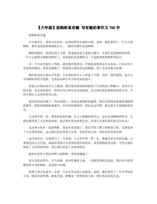 【六年级】捉蚂蚱真有趣 写有趣的事作文700字