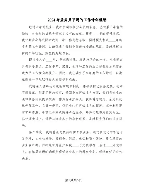 2024年业务员下周的工作计划模版（3篇）