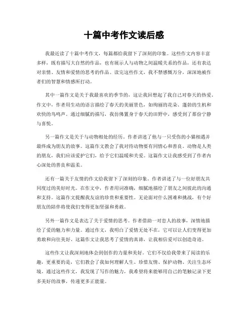 十篇中考作文读后感