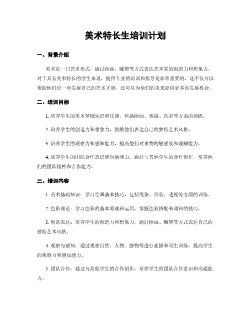 美术特长生培训计划