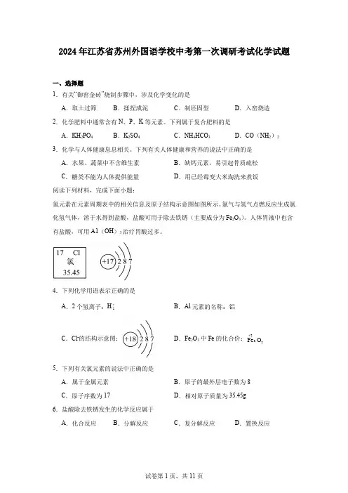 2024年江苏省苏州外国语学校中考第一次调研考试化学试题