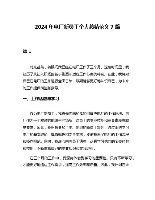 2024年电厂新员工个人总结范文7篇