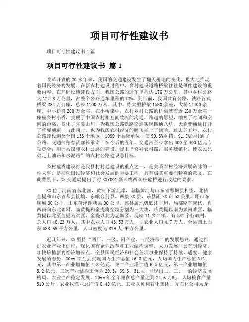 项目可行性建议书