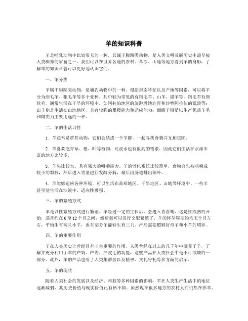 羊的知识科普