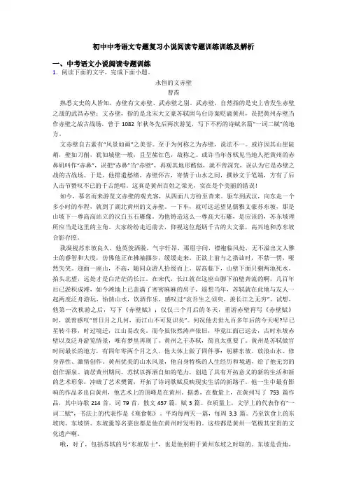 初中中考语文专题复习小说阅读专题训练训练及解析