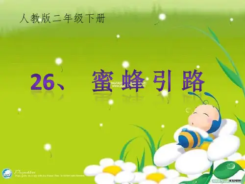 人教版小学二年级下册语文：蜜蜂引路