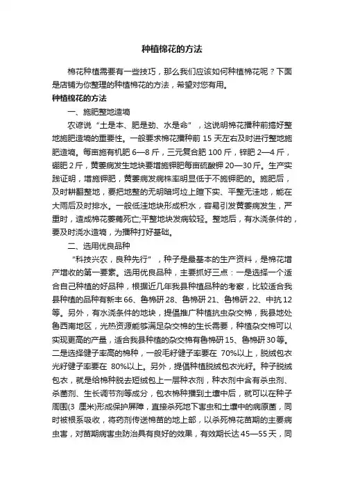 种植棉花的方法