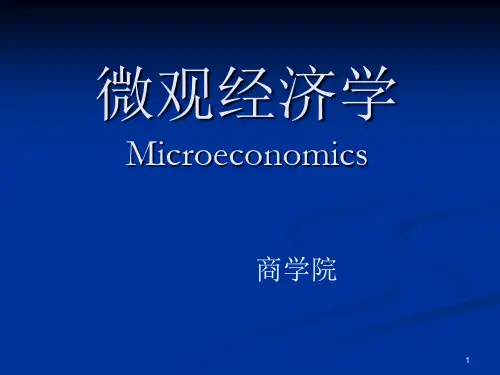 南京大学《微观经济学》复习课件